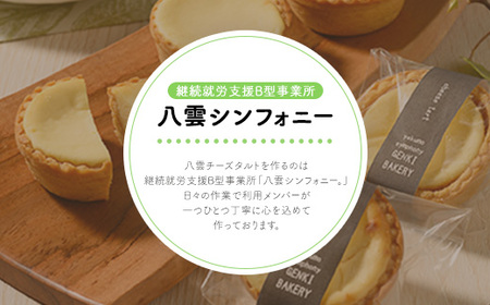 八雲チーズタルト　60g×24個入 ※沖縄・離島への配送不可