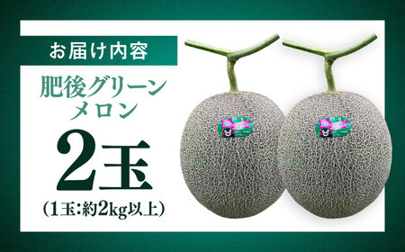【先行予約】  山鹿の恵み! 匠の育てた　肥後グリーン メロン 約4kg以上（約2kg以上×2玉）【きもと農園】[ZFQ001]