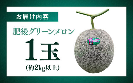 【先行予約】  山鹿の恵み! 匠の育てた　肥後グリーン メロン 約2kg以上（約2kg以上×1玉）【きもと農園】[ZFQ002]