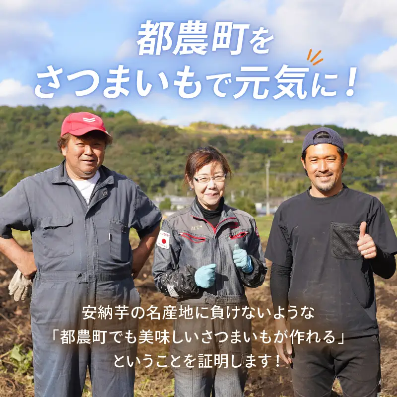 冷やし焼き芋(安納芋・紅はるか) 合計2kg さつまいも イモ 野菜 国産_T016-0055