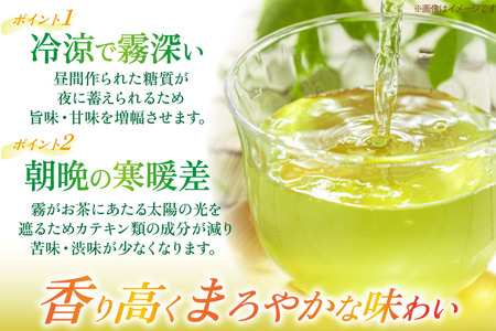 茶 お茶 緑茶 長崎 そのぎ茶 彼杵茶 玉緑茶 アルミボトル 490ml 24本 [彼杵の荘 長崎県 東彼杵町 hs42bag270046]