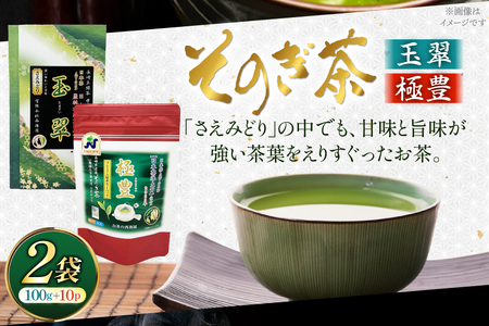 お茶 緑茶 そのぎ茶 玉翠100g×1袋・極豊緑茶ティーバッグ6g×1袋 [西海園(お茶の西海園) 長崎県 東彼杵町 hs42bag710020]