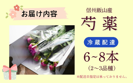 【先行予約】芍薬 切花 おまかせ2〜3品種 6〜8本セット《出荷時期：2026年5月中旬頃〜》太田農園  (Cb-001)