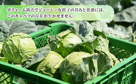 ボリューム満点 手作り冷凍餃子 75個 (15個×5袋)［錦華園］【 野菜 キャベツ たっぷり 厚い 手包み 手作り もちもち モチモチ 汁 町中華 中華 北海道 十勝 幕別 】