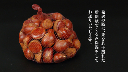 厳選 生和栗 1kg 【庄七農園】 栗 