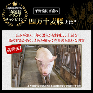 農林水産大臣賞獲得の「四万十ポーク」 平野協同畜産の「麦豚」スライスセット1.2kg 豚肉 ロース もも バラ 冷蔵 小分け 四万十 ／Ahc-04
