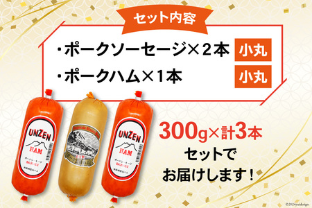 GD192 雲仙ハム ソーセージ 小×2本＋ハム×1本 各300g [ 長崎県 島原市]