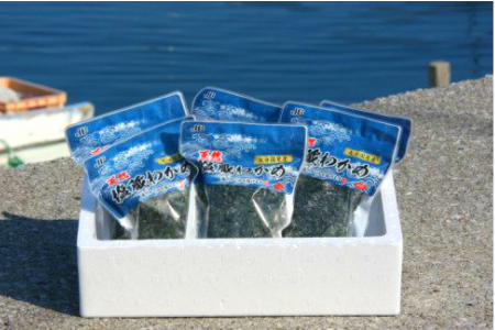 漁協厳選！天然塩蔵わかめ200g×6パック _1467R