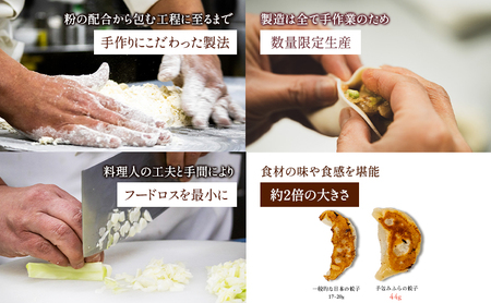 【北海道富良野市】手包みふらの餃子 8個入 (中華 冷凍 即席 食品 簡単 加工品 調理不要 おかず 手作り 道産 富良野 ふらの 北海道 送料無料)