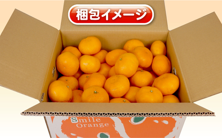 【11/20～12/20発送予定】 みかん 訳あり 完熟 大玉みかん 10kg 杉本屋 B010-143017