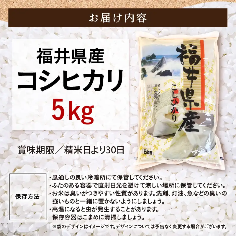 令和7年産  5kg 精米 コシヒカリ 福井県産《14日以内に出荷予定》 [e66-a013]