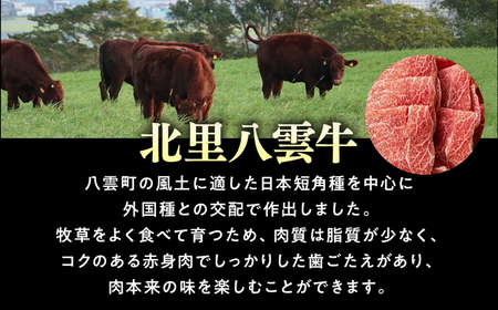 北里八雲牛加工品3点詰め合わせセット ※沖縄・離島への配送不可