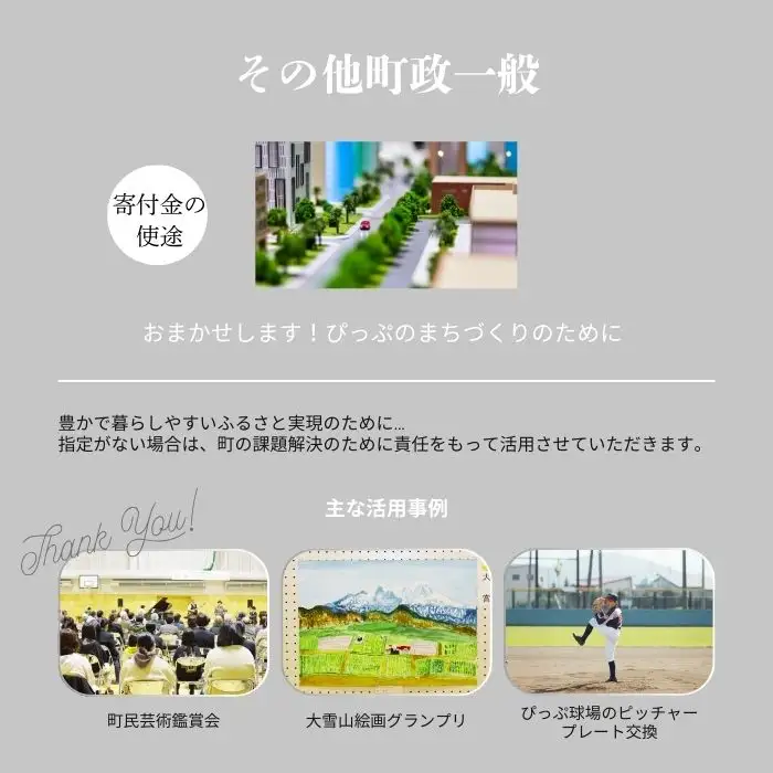 【返礼品なし】北海道比布町への寄付 1000円 1000 寄付のみ 返礼品無し 北海道 比布町 ぴっぷ 1455-101