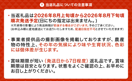先行予約 富士の輝 2房（約500g×2 計約1kg） 【2026年8月上旬から8月下旬発送予定】