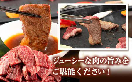 熊本 あか牛 切り落とし 1.1kg カルビ 熊本県産 肉 和牛 牛肉 冷凍《7-14日以内に出荷予定(土日祝除く)》｜ブランド牛肉 特産品牛肉 熊本県牛肉 あか牛 牛肉  