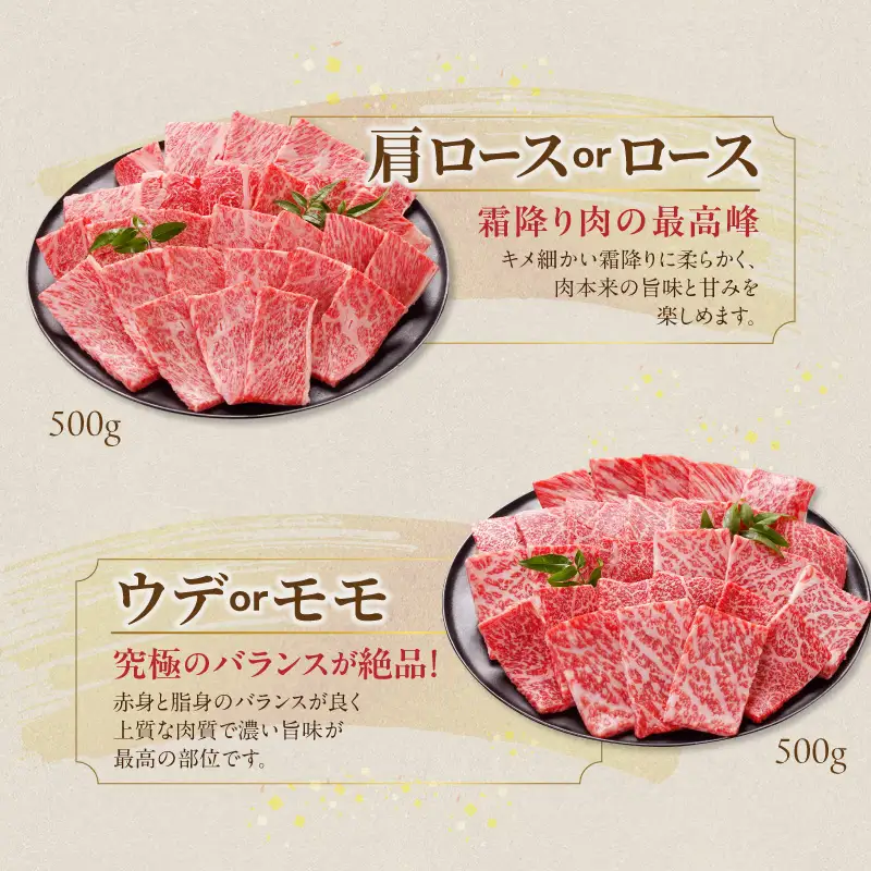 畜産農家応援! 宮崎牛焼肉2種セット500g×2パック_19-N2-002-1000_(都城市) 宮崎牛 肩ロース又はロース ウデ モモ 焼肉 500g