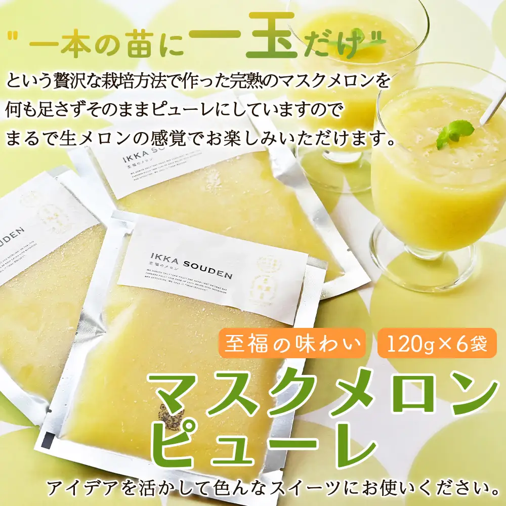 【3回定期便】完熟マスクメロンピューレ 120g×6袋 【 ピューレ  ピューレ  ピューレ  ピューレ  ピューレ 】 Wtn-0031