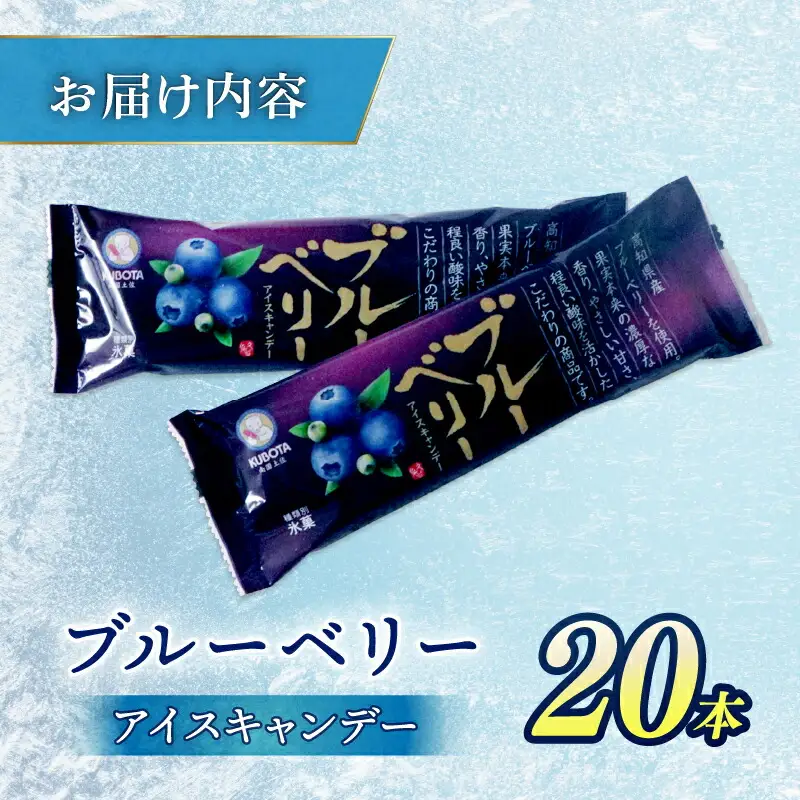 【アイス】ブルーベリー アイス 80ml×20本