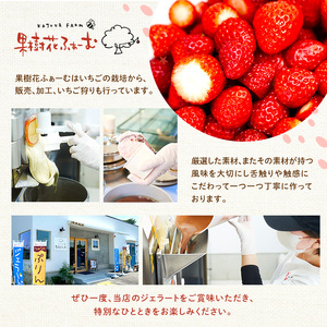 ジェラート チョコ 12個 アイス アイスクリーム スイーツ お菓子 菓子 おやつ 兵庫県 加西市