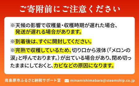 【2026年7月初旬-発送】グリーンメロン 2玉 約4kg / メロン めろん 果物 フルーツ / 南島原市 / うえだメロン園[SAD010]