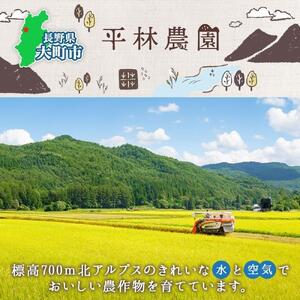 令和7年産 コシヒカリ 無洗米 10kg×1袋 長野県産 米 白米 精米 お米 ごはん ライス 甘み 農家直送 産直 信州 人気 ギフト 時短 お取り寄せ 平林農園 送料無料 長野県 大町市