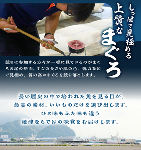 a31-011　 焼津ミナミマグロスキンレスセット