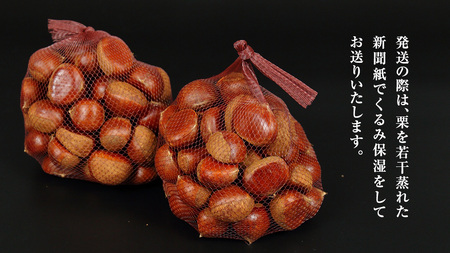 厳選 生和栗 2kg 【庄七農園】 栗 