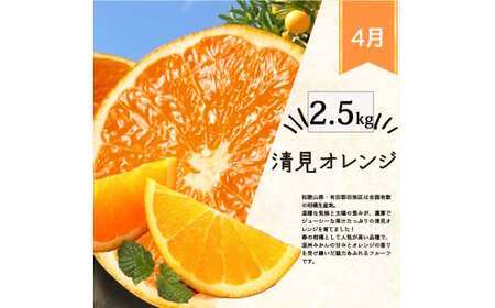 【4か月定期便】旬の柑橘定期便 / みかん ミカン 柑橘 オレンジ 果物 くだもの フルーツ定期便 和歌山 ※離島への配送不可 【uot050-4-a】