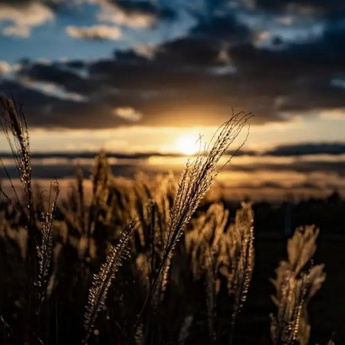 【箱根町】箱ぴたふるさと宿泊補助券（90,000円分）［箱根箱根］