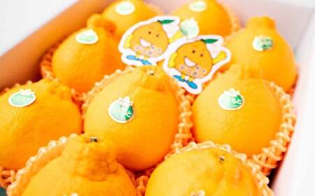 デコポン 約3kg （8～20玉） 果物 くだもの フルーツ 柑橘 【2027年2月下旬～3月下旬迄順次発送予定】