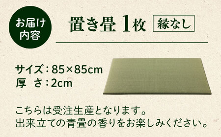 一畳屋 たたみっこ 縁無し 畳 1枚  畳[AYAB110]