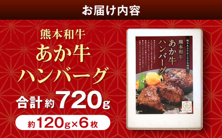 あか牛100％ハンバーグ 約120g×6個 ハンバーグ[AYCQ001]