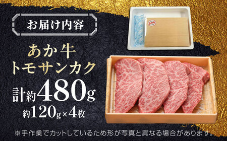 【GI認証】くまもとあか牛トモサンカク 約120g×4枚 和牛 熊本県 トモサンカク [AYCQ013]