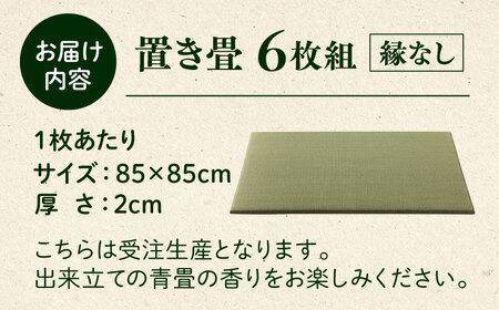 一畳屋 たたみっこ 縁無し 畳 6枚セット  畳[AYAB109]