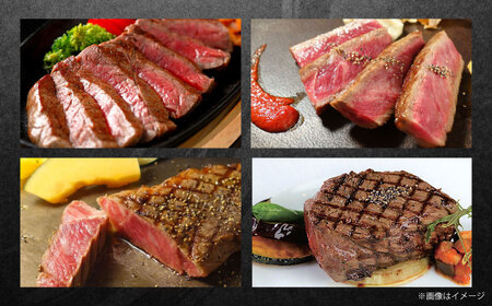 【全12回定期便】【GI認証】くまもとあか牛 食べ比べ 牛肉 [AYCQ034]