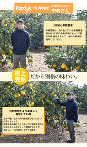 訳あり 河内晩柑 ジューシーオレンジ 約8kg オレンジ みかん ミカン 蜜柑 柑橘 熊本県 宇城市 送料無料 2026年3月下旬から2026年7月下旬発送予定