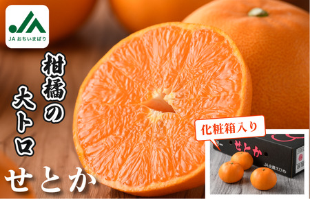 ＪＡおちいまばり柑橘定期便（４回コース）【KE00580】＜紅まどんな／瀬戸の晴れ姫／甘平／せとか＞