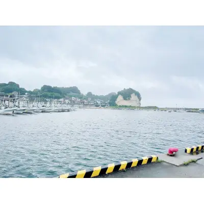 しらす干し 天日乾燥 800g(400g×2) (茨城県共通返礼品:北茨城市) (AY001)
