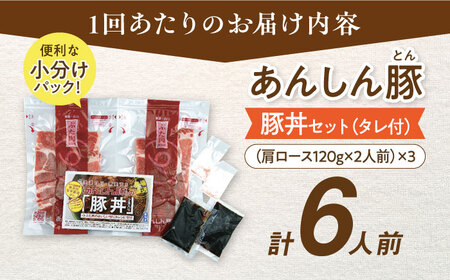 【12回定期便】豚丼セット(肩ロース120g×2人前) ×3 豚肉 白川町 / 藤井ファーム[AWAF015]