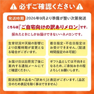 【訳あり】北海道メロン 暑寒レッド 1玉 (1.6kg以上×1箱)2026年9月発送ワケあり 家庭用 赤肉メロン わけあり 規格外 傷 不揃い くだもの フルーツ メロン めろん 9月 北海道 雨竜町