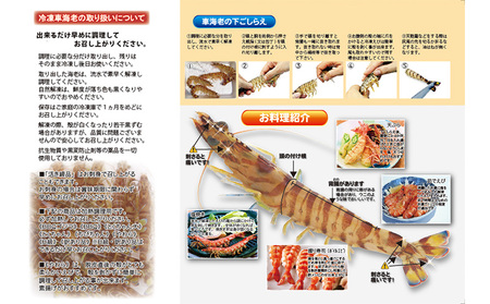 車海老 活き〆急速冷凍車海老 Mサイズ 約4kg