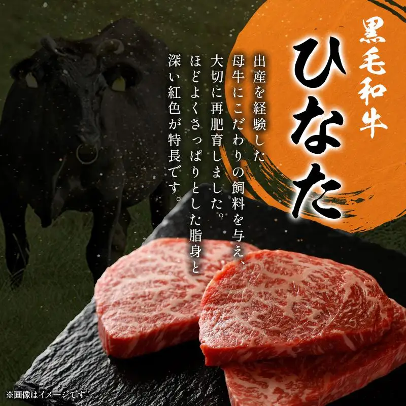 定期便 完熟マンゴー 2L×2玉 & 宮崎ブランド牛 計1kg 全2回 宮崎特産 牛肉 フルーツ 果物