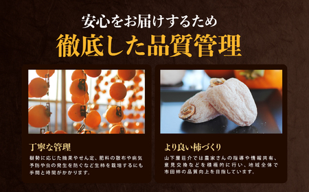 信州 の 特産品 市田柿 ご家庭用 500g × 2袋 ＜2027年1月中旬～2月下旬発送＞ |長野県 飯田市