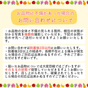 ジューシー な 黄金色 りんご シナノゴールド 約3kg 秀品 〈2026年10月下旬～11月末発送〉| 長野県 飯田市