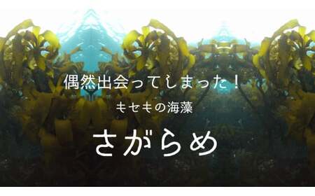 10-84超保湿スキンケア「さがらめパック（肌嬉フェイスマスクSR）7枚入」 超保湿でしっとりツヤ肌へ