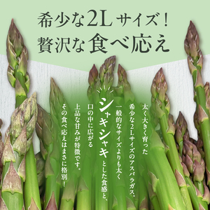 【大坪農園】≪2026年 先行予約≫ 春の恵み　北海道東川町産アスパラガス　2Lサイズ　1㎏