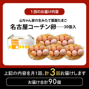 【3ヶ月定期便】【山ちゃん家の生みたて葉酸たまご】名古屋コーチン卵（30個入り）［132Y01-T］
