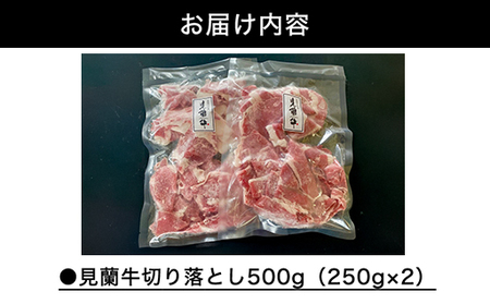 【数量限定】山口県萩市産 見蘭牛 切り落とし 500g (250g×2)国産  肉 お肉 牛