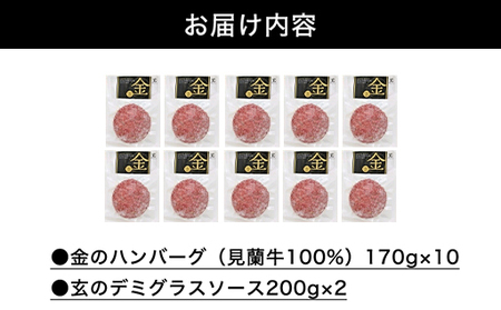 ハンバーグ セット 金 10食 道の駅 萩往還 人気レストラン 玄のハンバーグセット 見蘭牛 牛肉 デミグラスハンバーグ