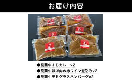 ハンバーグ 数量限定 見蘭牛 ダイニング 玄 オリジナルセット カレー シチュー ハンバーグ 各2個 計6個入り お肉